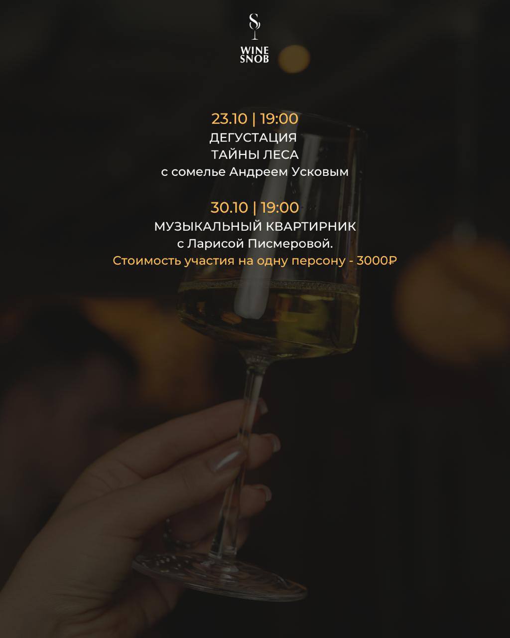 Афиша мероприятий на декабрь 2022. WineSnobBar.