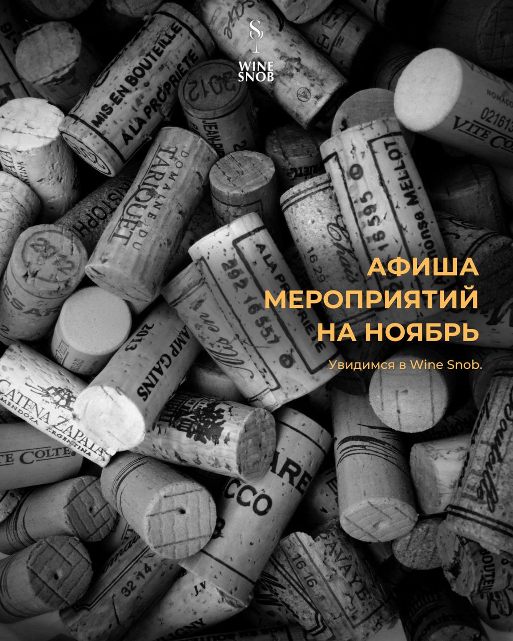 Афиша мероприятий на декабрь 2022. WineSnobBar.