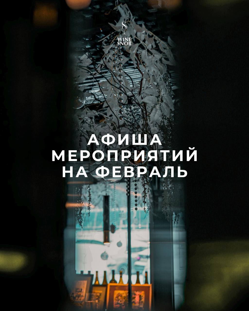 Афиша мероприятий на декабрь 2022. WineSnobBar.